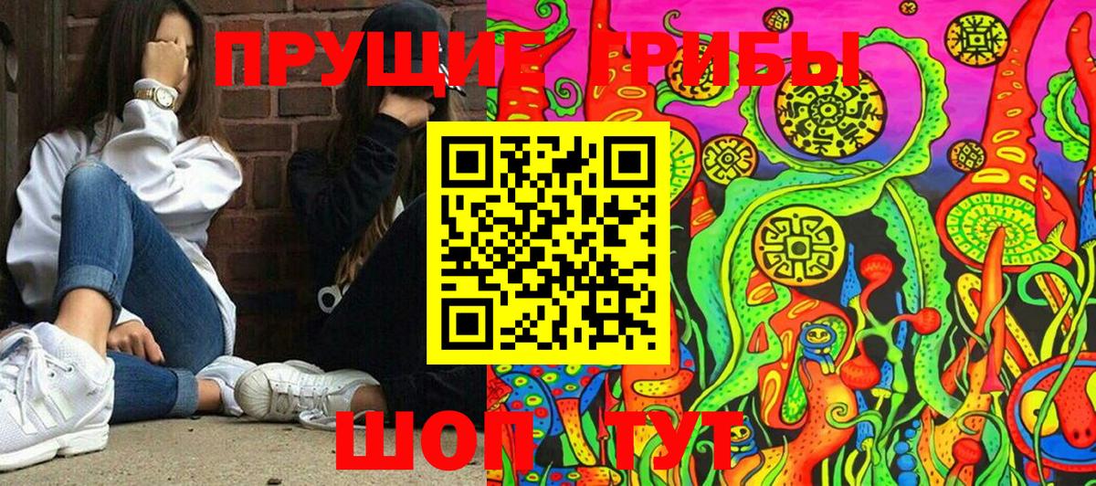 Кропоткин  сколько стоит  Вход с VPN  Псилоцибиновые грибы Magic Shrooms  Галлюциногенные грибы GOLDEN TEACHER 